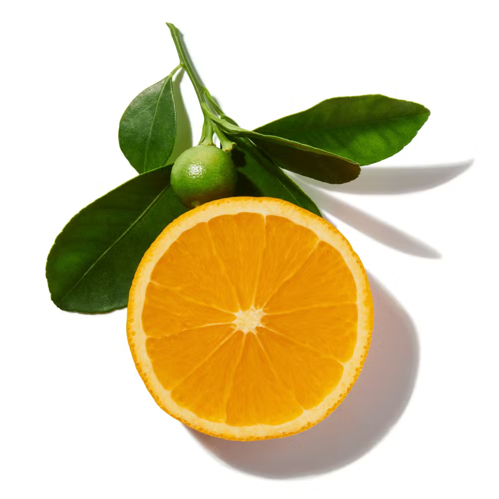 Buy Bvlgari Perfumes Online In India - Bvlgari Fragrances, Colognes & Scents
