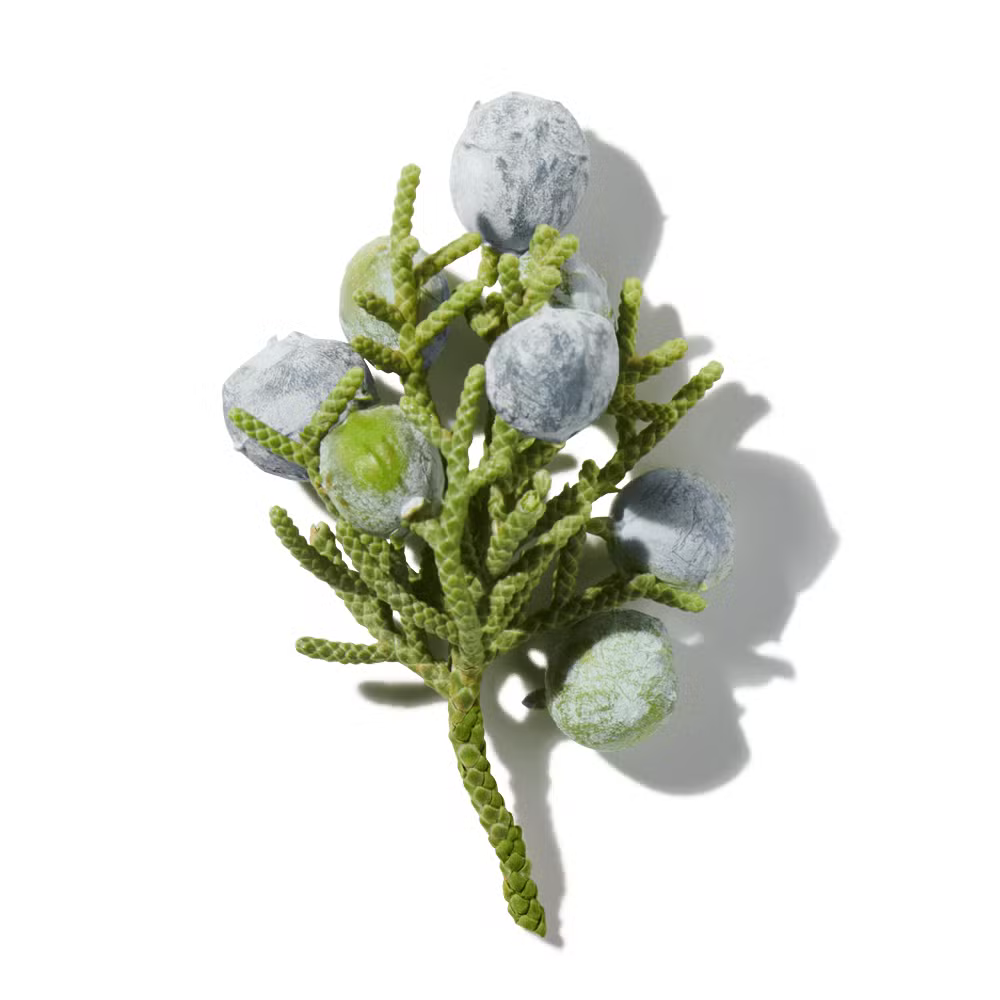 Buy Niche Perfumes Perfumes Online In India - Niche Perfumes Fragrances, Colognes & Scents