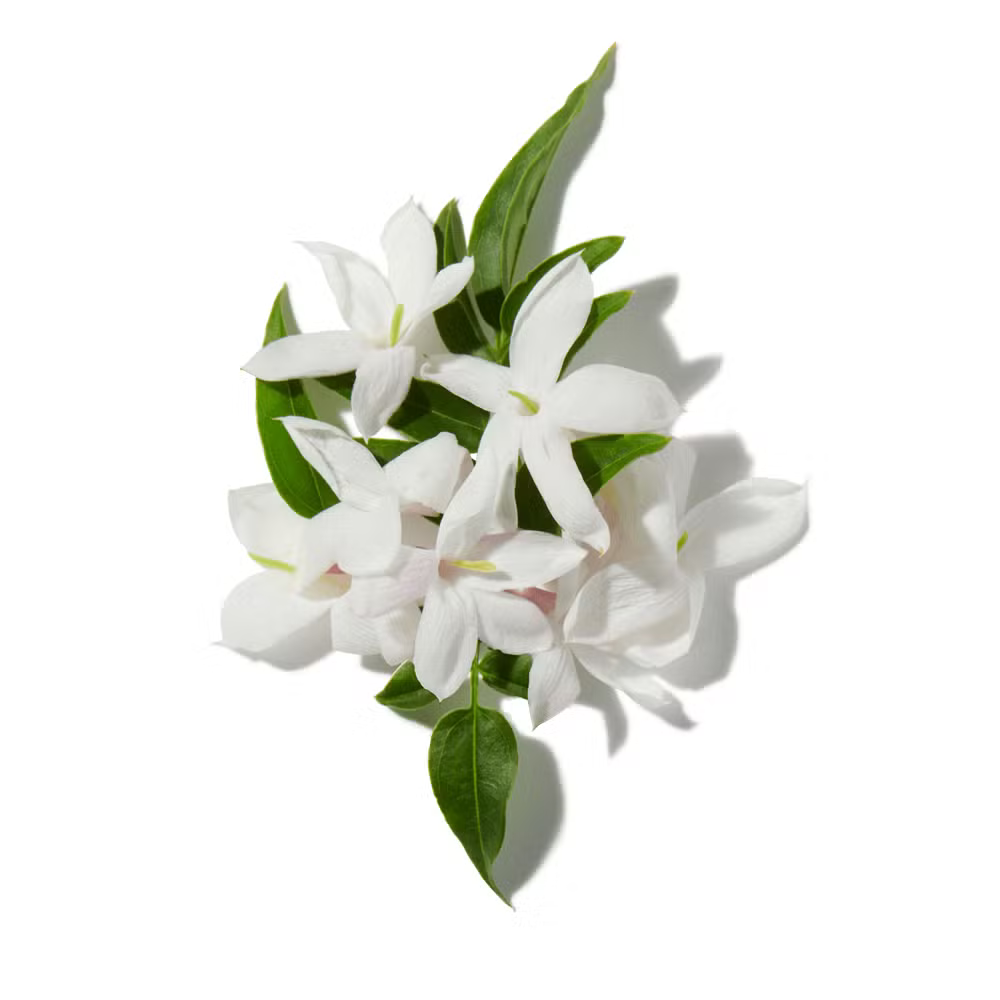 Buy Lancome Idole Eau de Parfum Online In India at Scentira