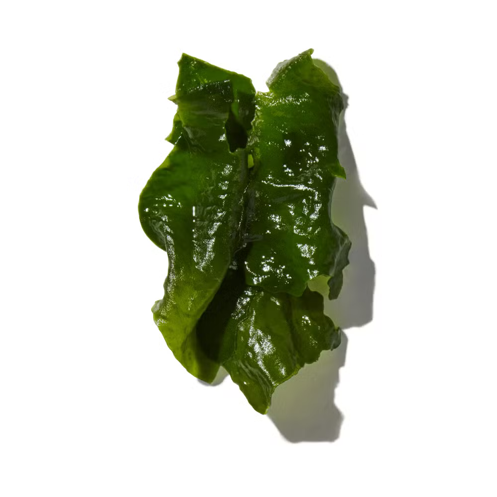 Buy Jo Malone Wood Sage & Sea Salt Cologne Online In India at Scentira