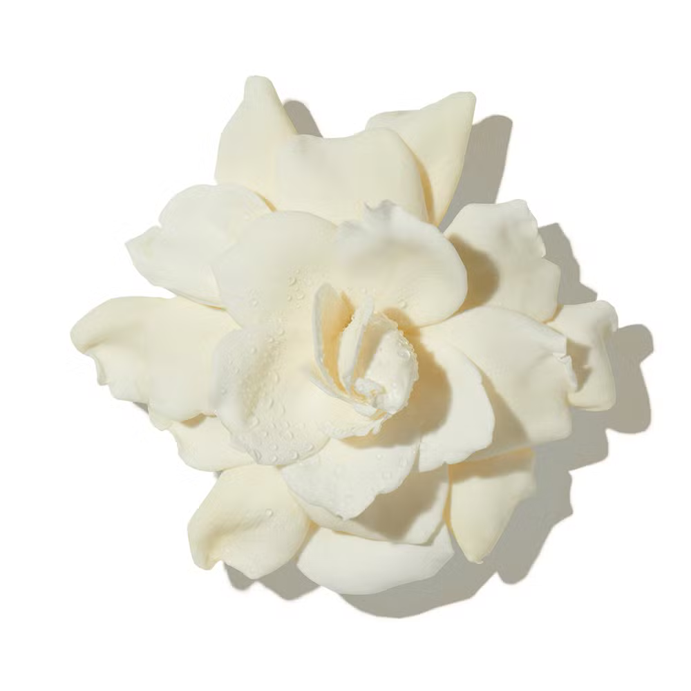 Buy Ahmed Al Maghribi Oud & Roses Eau de Parfum Online In India at Scentira at Scentira