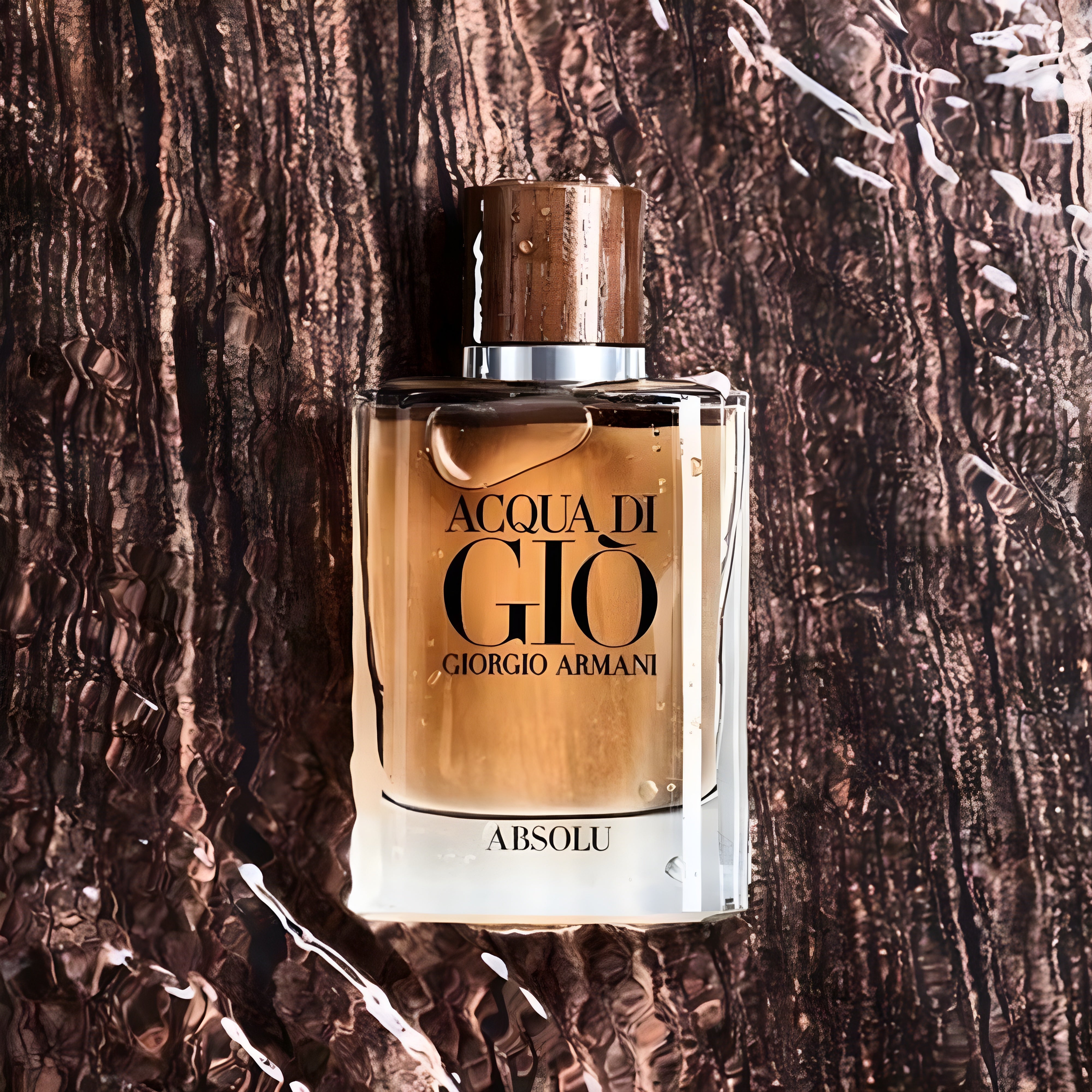 Buy Giorgio Armani Acqua Di Gio Absolu Eau De Parfum Online in India