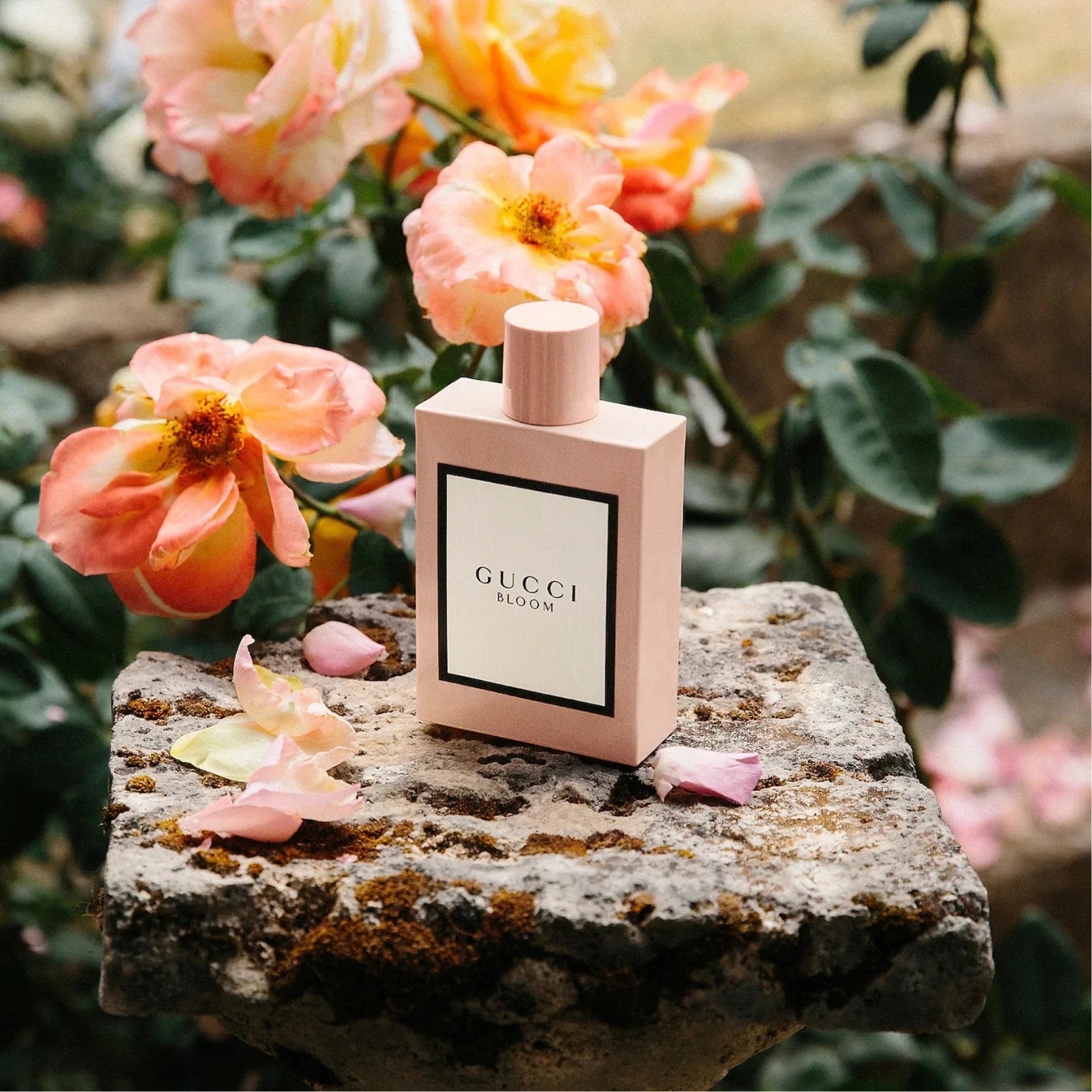 Price of gucci bloom on sale