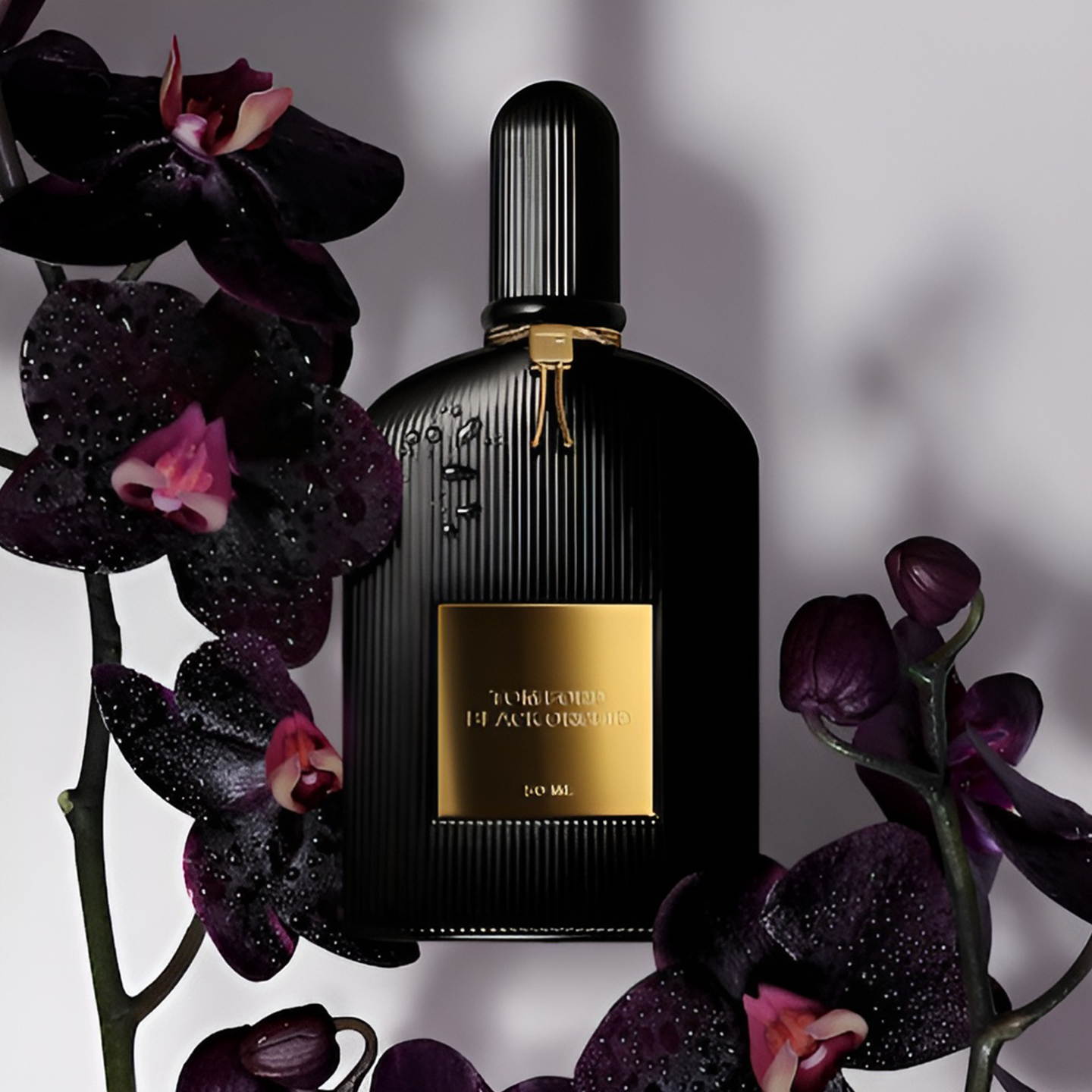 Tom Ford Black Orchid Eau De Parfum - Main Image