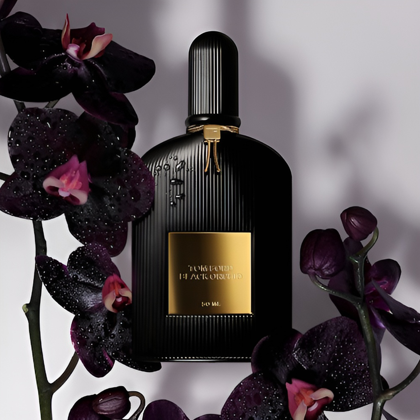 Buy Tom Ford Perfumes Online In India - Tom Ford Fragrances, Colognes & Scents