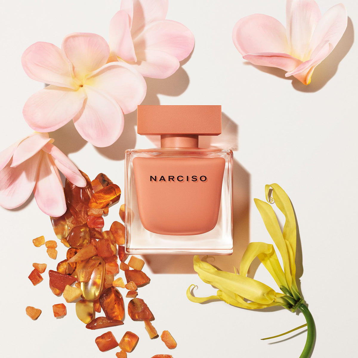 Buy Narciso Rodriguez Narciso Eau Néroli Ambrée Eau de Toilette Online In India at Scentira at Scentira