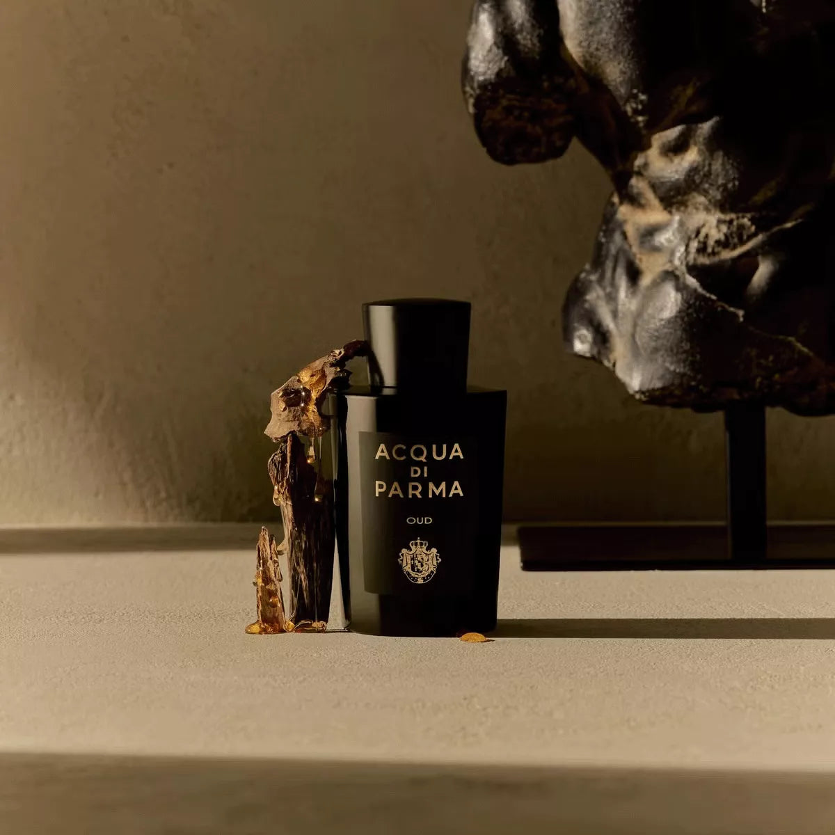 Buy Acqua di Parma Oud Eau de Parfum Online In India at Scentira at Scentira