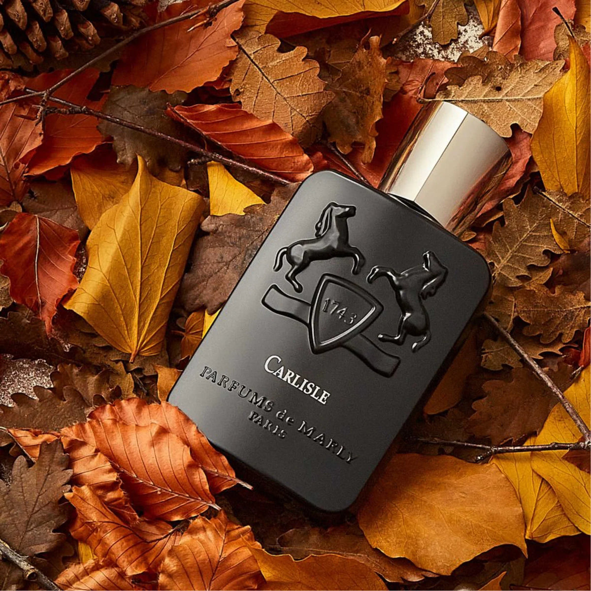 Buy Perfumes Online for men and women In India at Scentira