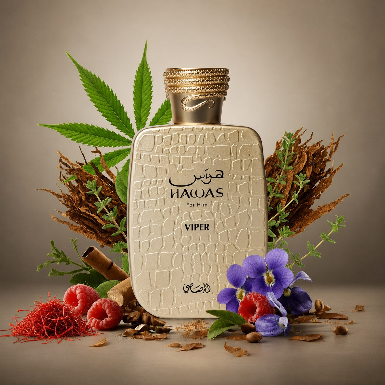 Buy Rasasi Hawas Viper Eau de Parfum Online In India at Scentira at Scentira