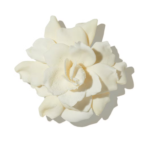 Floral Notes
