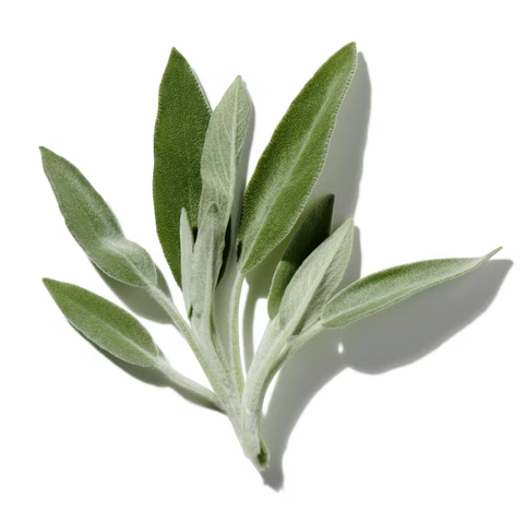 Herbal Notes