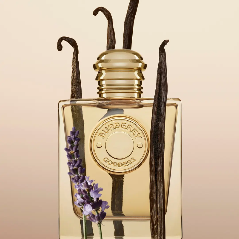 Burberry perfume purple bottle shop