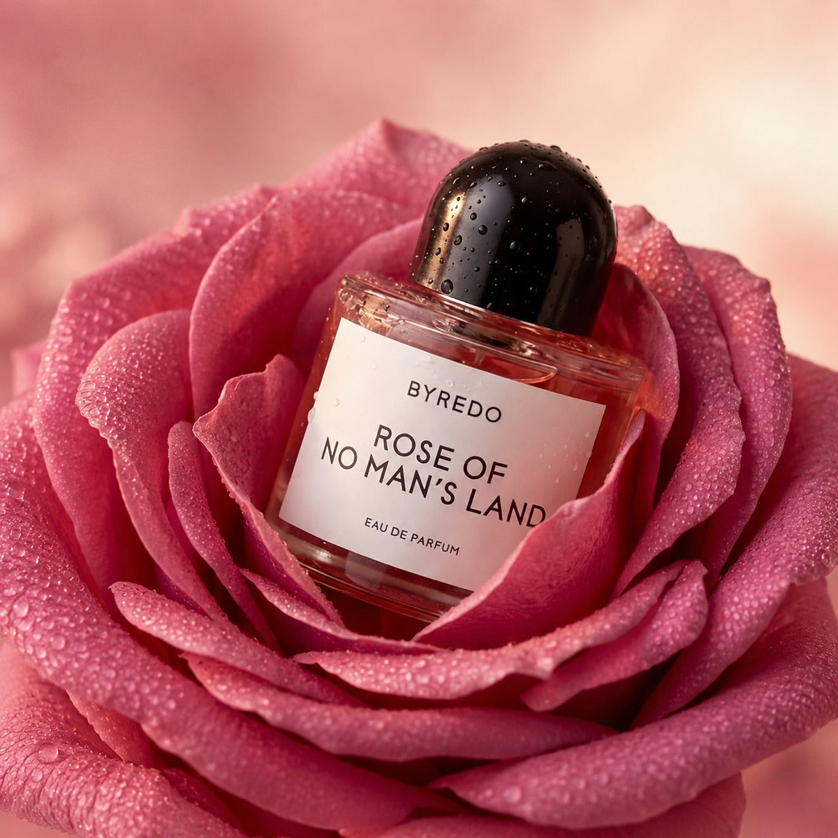 Buy Perfumes Online for men and women In India at Scentira
