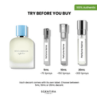 Dolce & Gabbana Light Blue Eau De Toilette for Men (2025 Launch) perfume