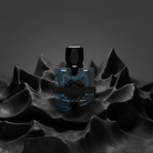 French Avenue Aromatix Magnetiq Extrait de Parfum perfume