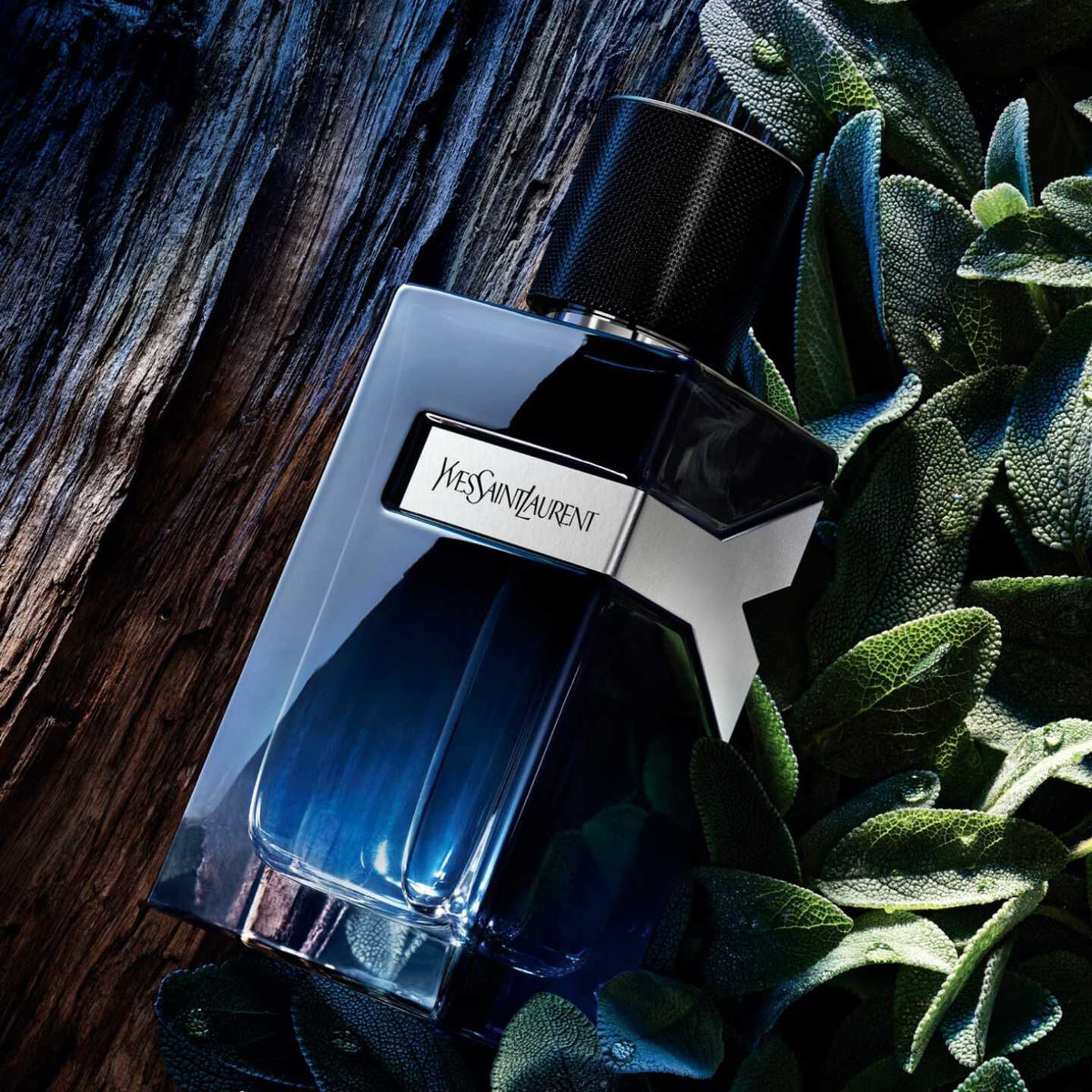 Buy Partials Perfumes Online In India - Partials Fragrances, Colognes & Scents